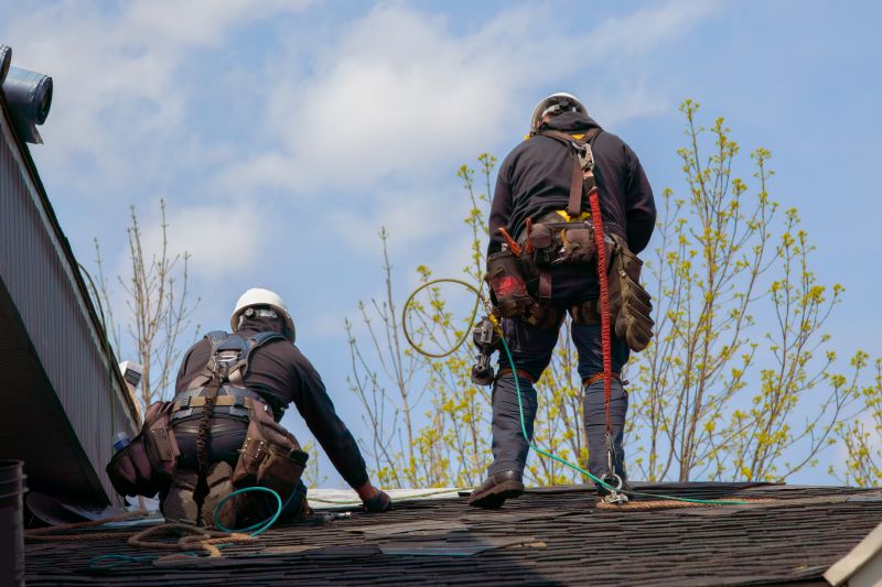 Spring Roofing Maintenance