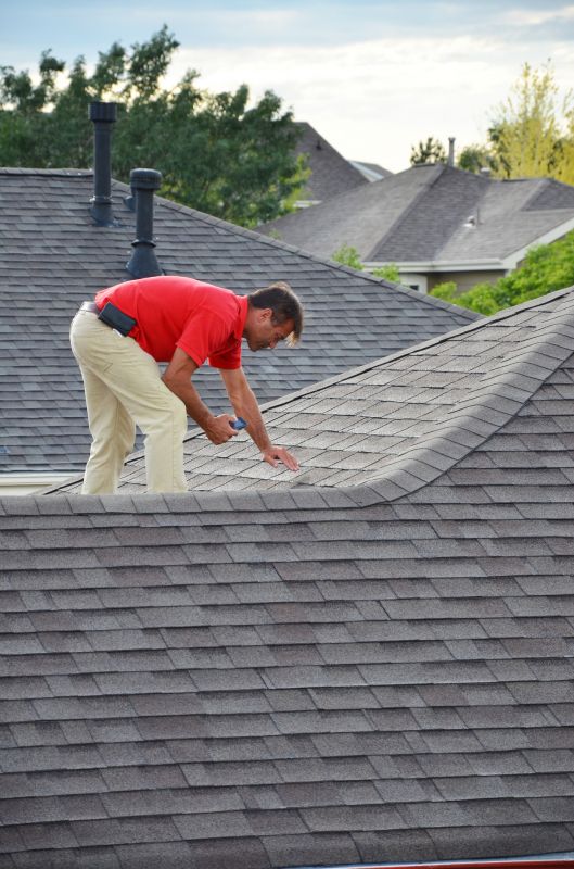 Inspecting Roof in Spring